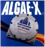 algaex.jpg (5676 bytes)